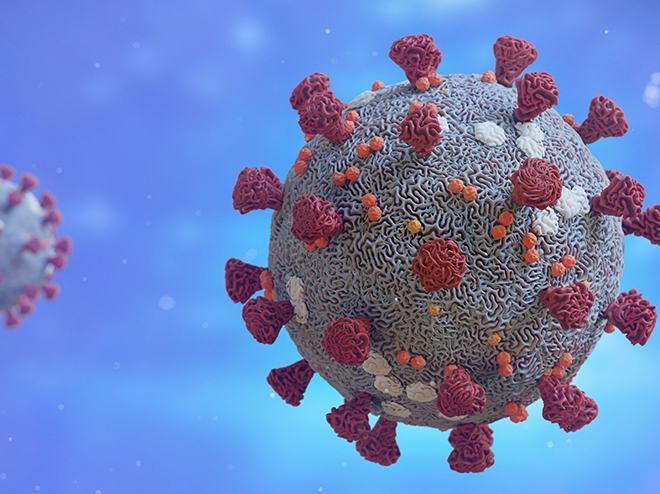 Эксперты о коронавирусе. Ответы на основные вопросы